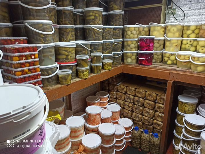 Соления оптом