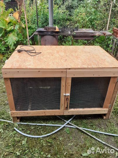 Брудер для цыплят бу