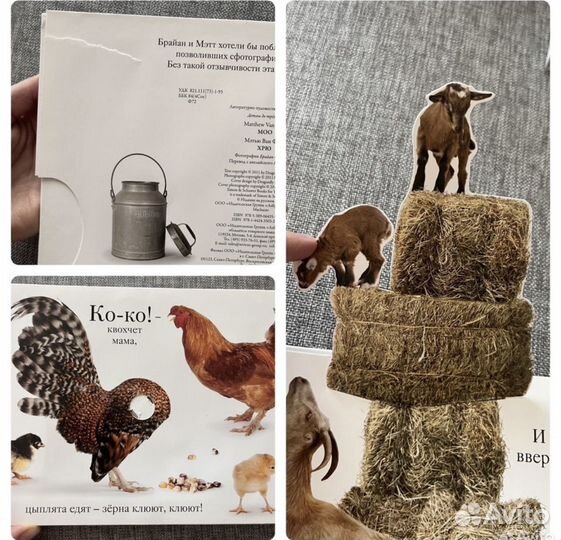 Книга тактильная Мэтью Ван Флит