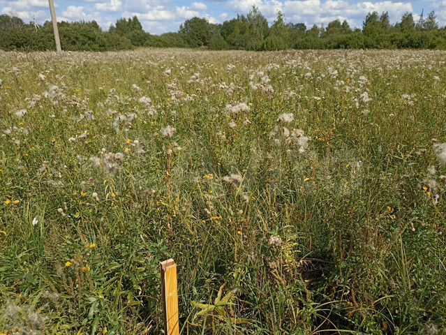 Участок 13 сот. (ИЖС)