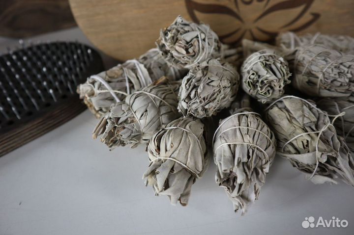 Шалфей Белый от 20шт опт для Озон