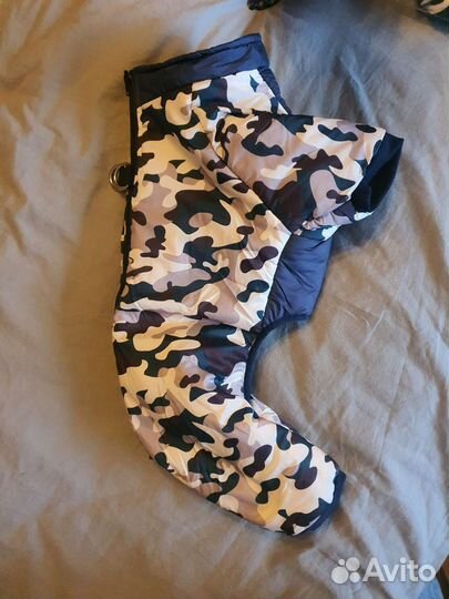 Одежда для собак