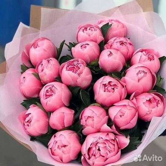Пионы Букеты Цветы Доставка