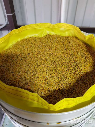 Пыльца пчелиная