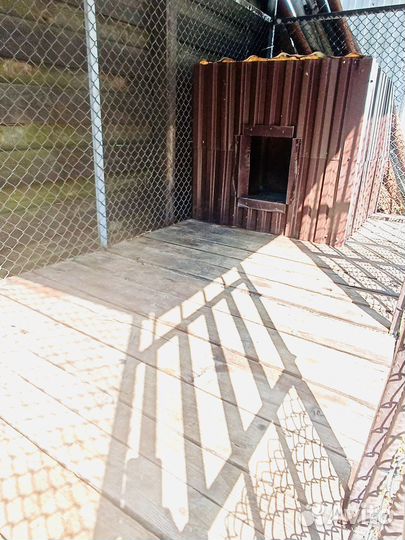 Вольер с будкой для собак