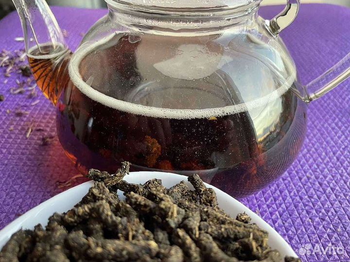 Иван-чай кипрей, сезона 2023, кипрей узколистный