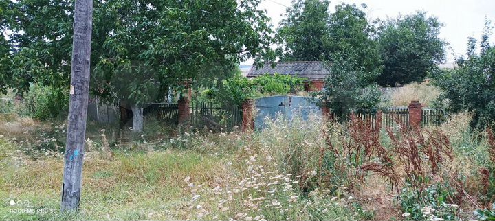 Дом 60 м² на участке 40 сот.