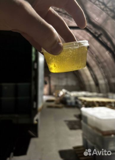 Алтайский мед