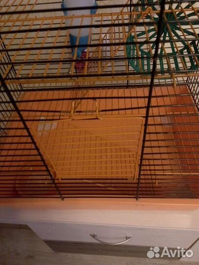 Клетка для грызунов