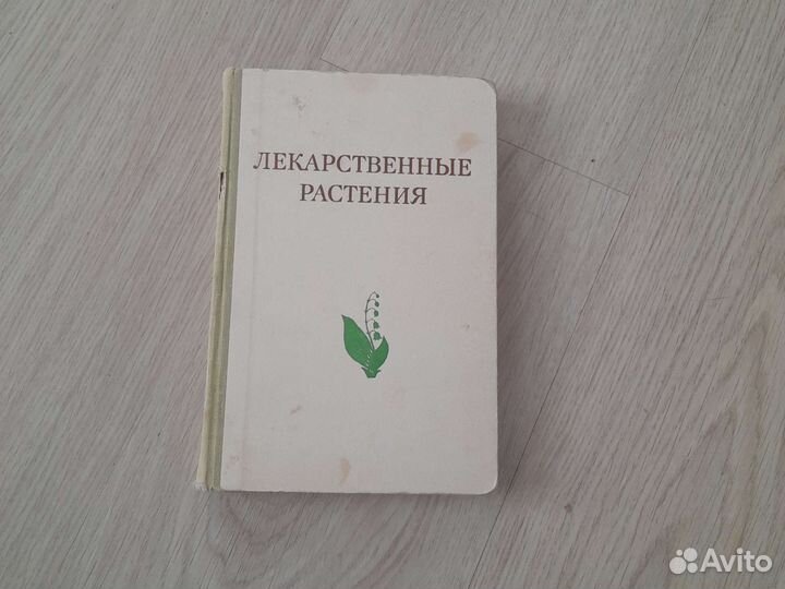 Лекарственные растения. Растения целители