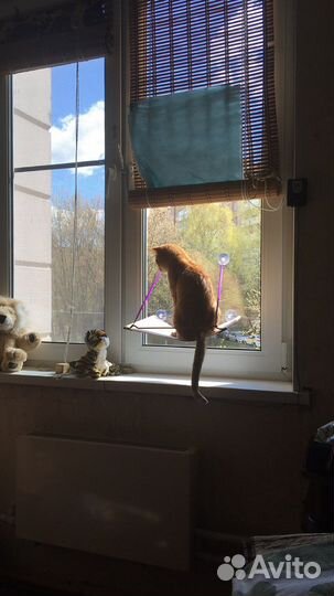 Гамак для кошек на окно