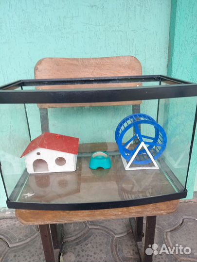 Аквариум для хомячка