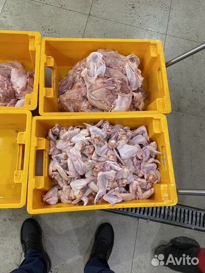 Филе куриное, Шаурма, крыло, оптом Халяль. гост