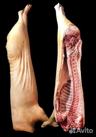 Свинина домашняя