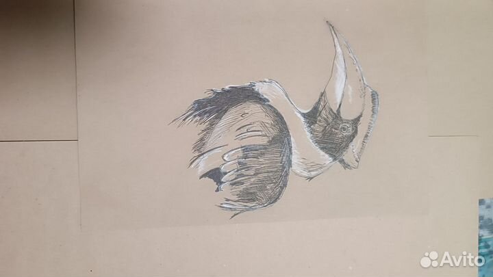 Картины и этюды