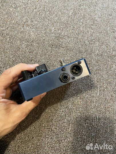 Darkglass alpha omega