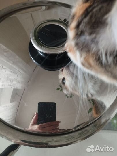 Сотейник zepter б/у