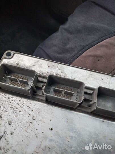 Мозги на форд