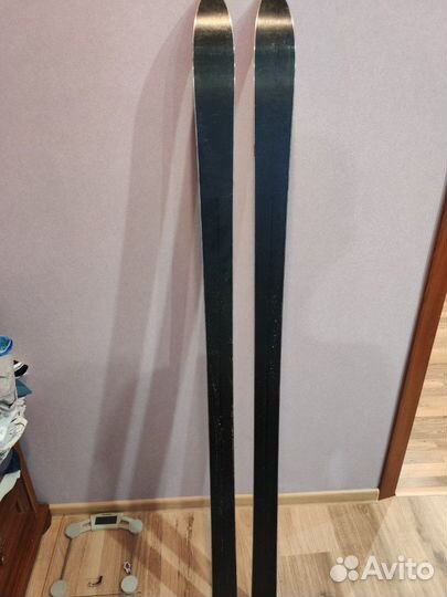 Горные лыжи Fischer RC4