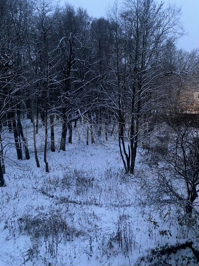 Участок 12 сот. (ИЖС)