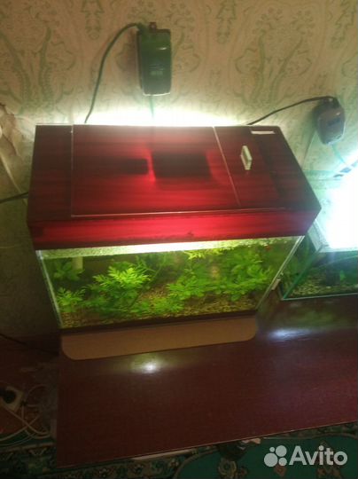Аквариум 35 литров