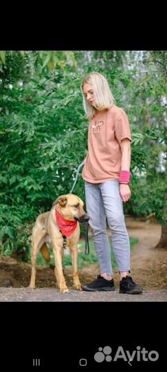 Молодой пёс из приюта