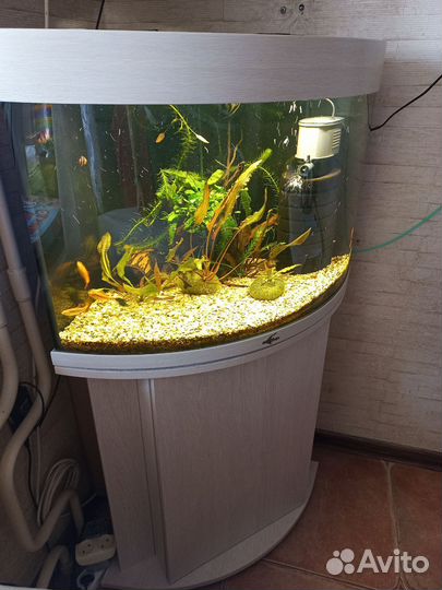 Аквариум Биодизайн