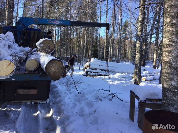 Дрова бесплатно самовывоз (стволы осины)