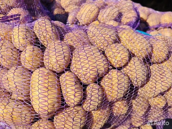 Картофель коломбо 5+