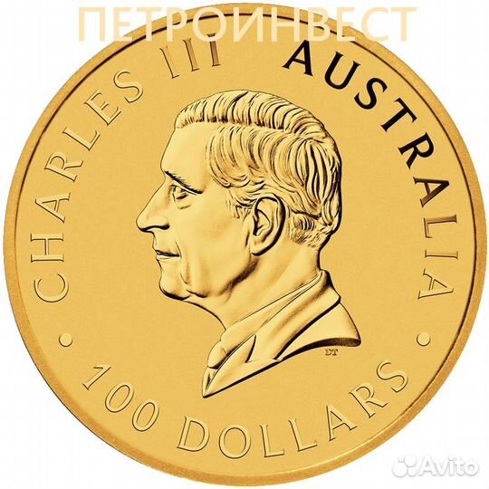 Кенгуру (Наггет) (100 dollars); 2024; 1oz