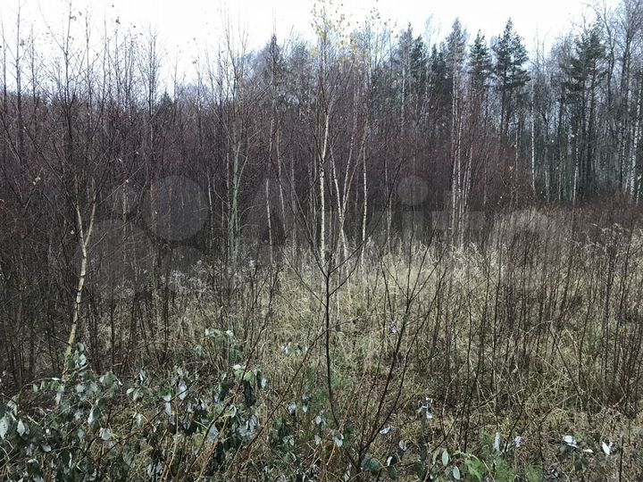 Участок 35 сот. (СНТ, ДНП)