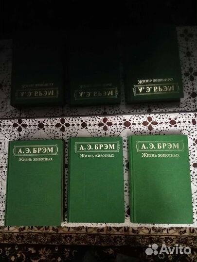 Брэм, жизнь животных