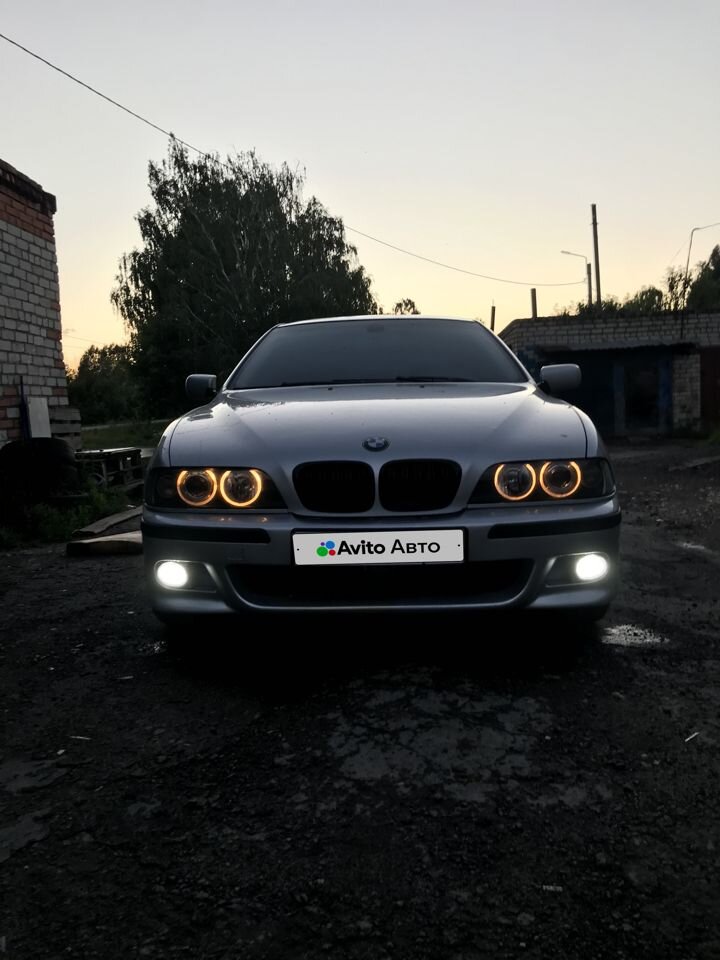 BMW 5 серия: фото владельца