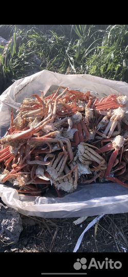 Продам краба