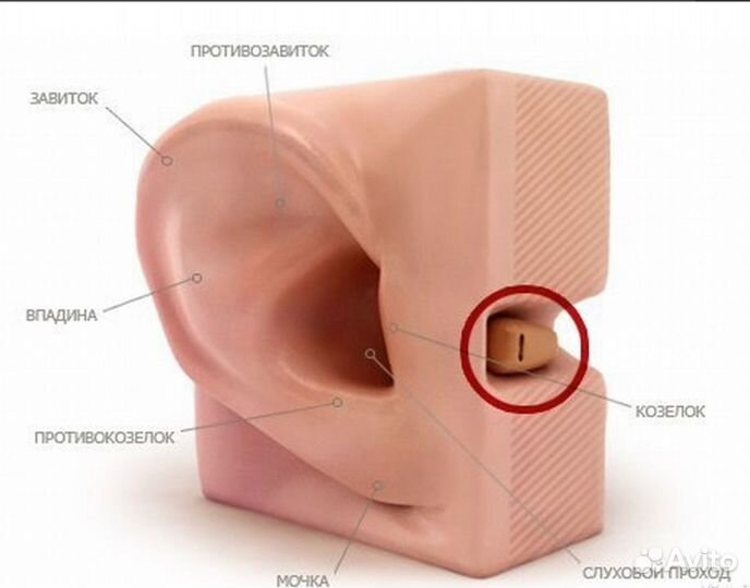 Микронаушники в Хабаровске / Продажа Аренда
