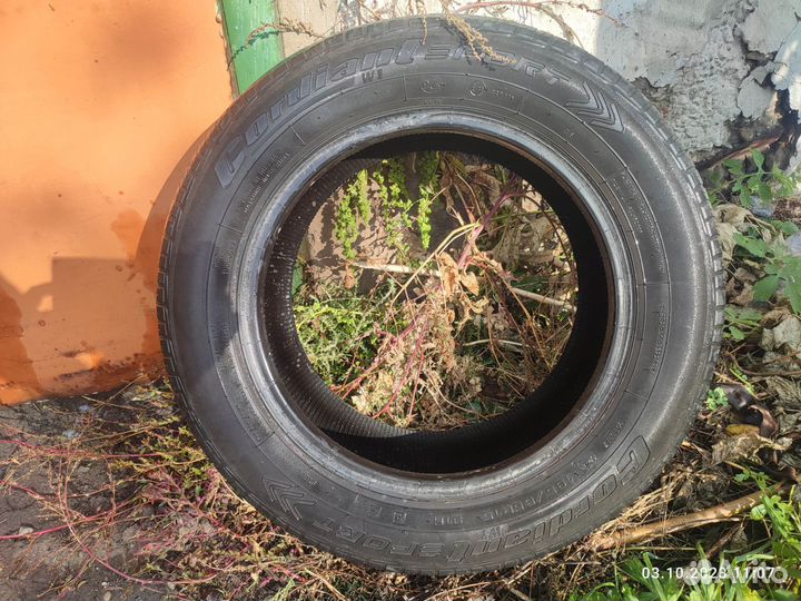 Cordiant Sport 195/65 R15