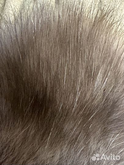 Перчатки соболиные