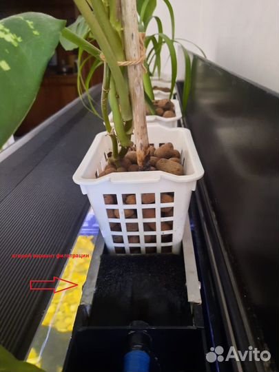 Аквариум Barbus 350л со всем содержимым