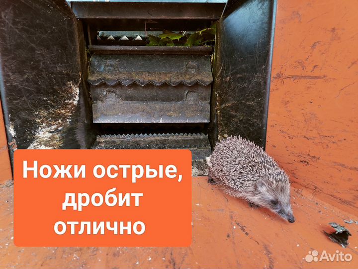 Аренда измельчителя веток, древесины