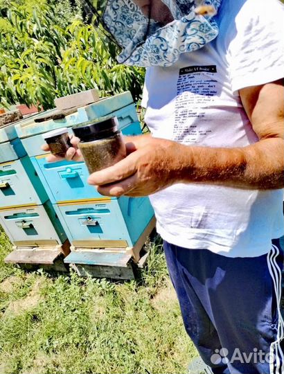 Мед антимикозного действия