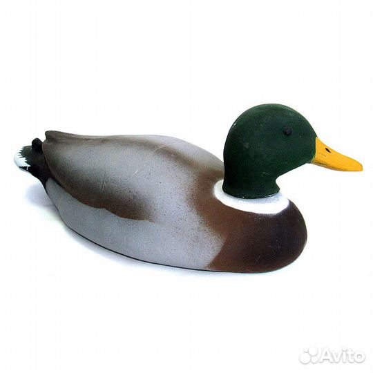 Чучело утка кряква - селезень полистирол