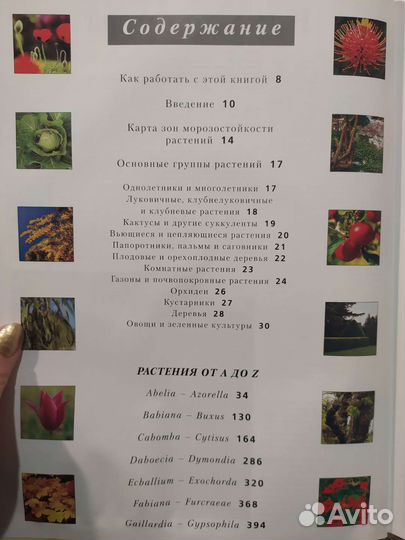 10000 комнатных и садовых растений. Botanica перев