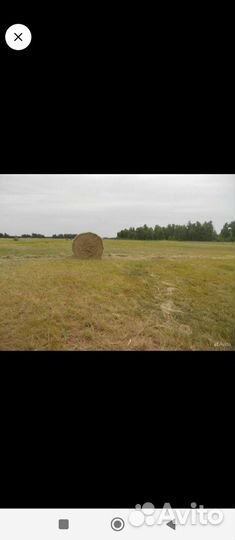 Сено в рулонах