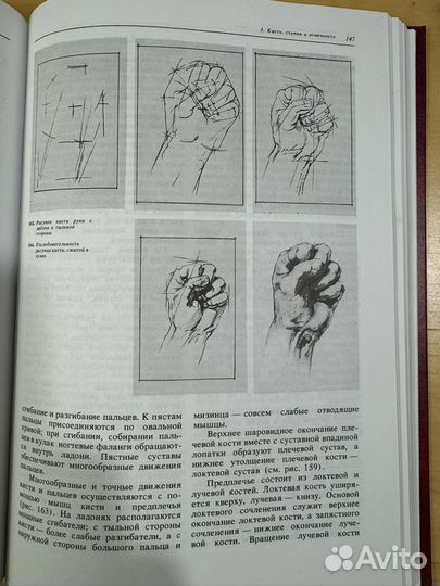 Книга Рисунок