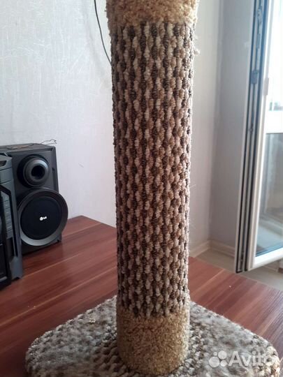 Когтеточка