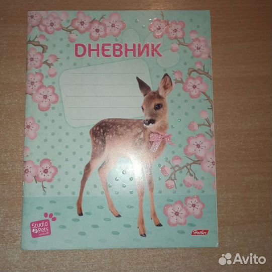 Дневник школьный