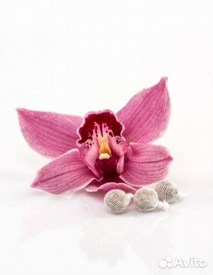 Тампоны травяные для женщин