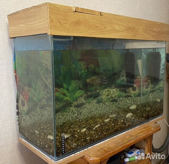 Аквариум