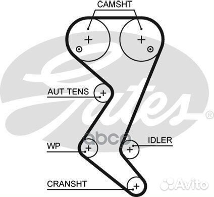 Рем.комплект грм с помпой Citroen C4/C5, Peugeot