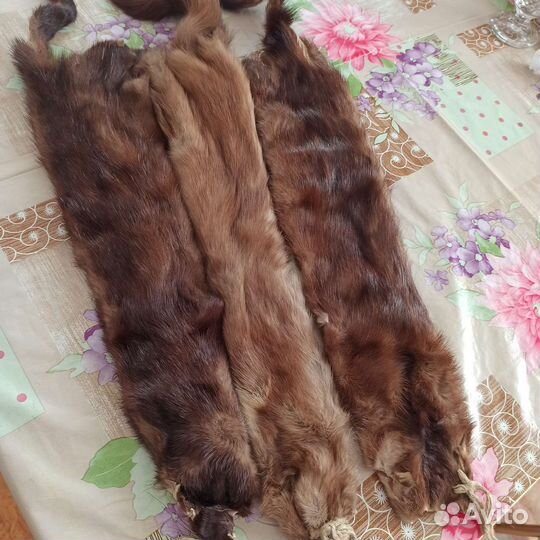 Шкурки норки